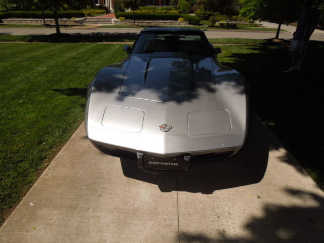 1978 Silver/Grey Chevrolet Corvette Fastback