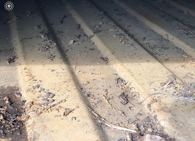 1978 Yellow Dodge Other Pickups Standard Cab Pickup