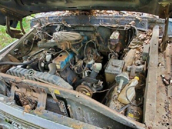 1978 Blue Ford F-100 Standard Cab Pickup