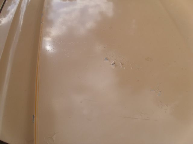 1978 Tan Ford Mustang Coupe