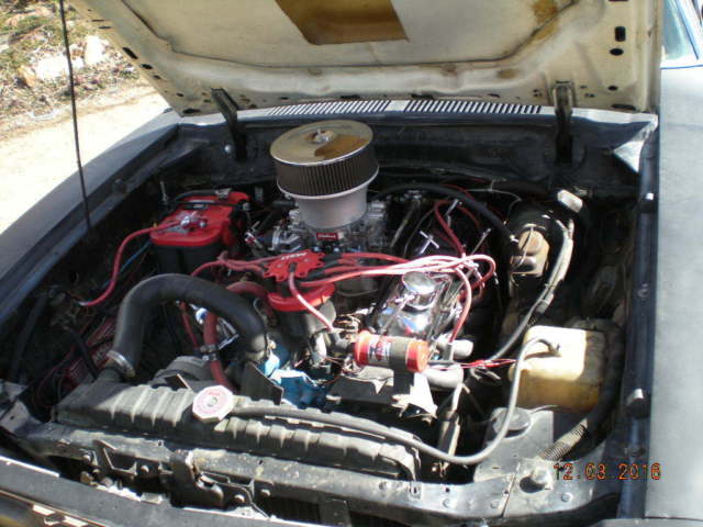 1978 Tan Ford Mustang Coupe