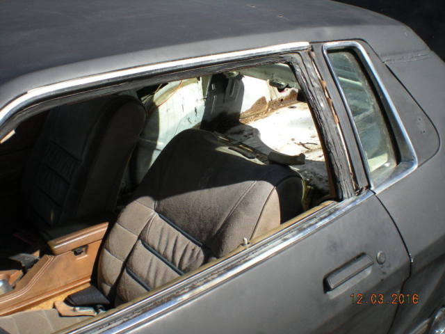 1978 Tan Ford Mustang Coupe
