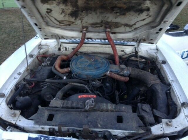 1978 Ford Mustang Fastback