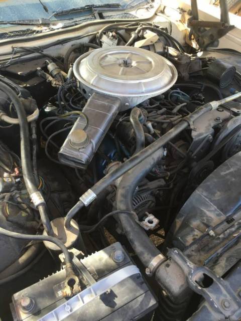 1978 Tan Ford Thunderbird Coupe