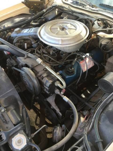 1978 Tan Ford Thunderbird Coupe