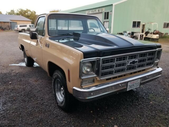 1978 Brown Chevrolet Other Pickups