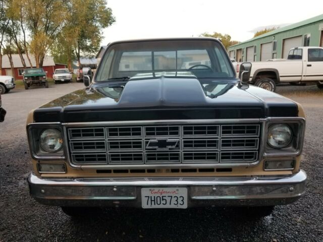 1978 Brown Chevrolet Other Pickups