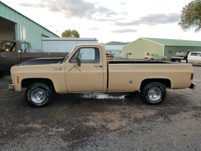 1978 Brown Chevrolet Other Pickups