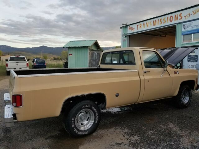 1978 Brown Chevrolet Other Pickups