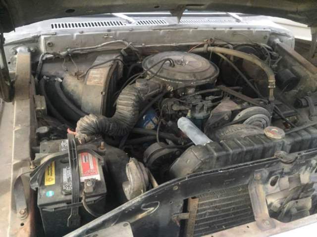 1978 Gray Ford F-150