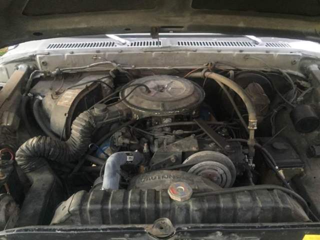 1978 Gray Ford F-150