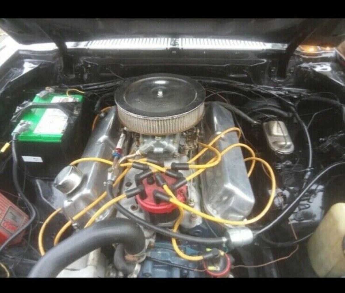 1978 white and green Ford Mustang 2 door fastback