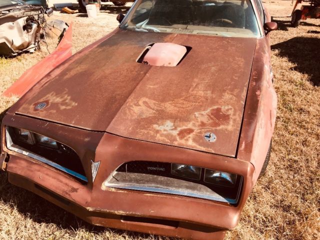 1978 Brown Pontiac Trans Am