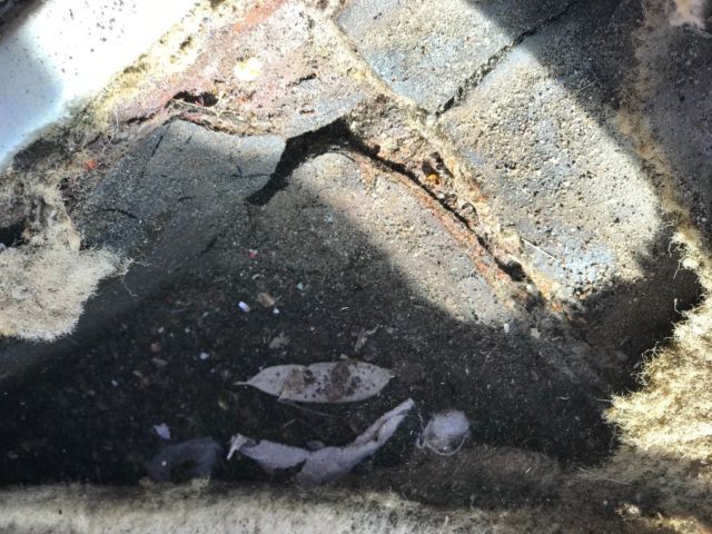 1978 Brown Pontiac Trans Am