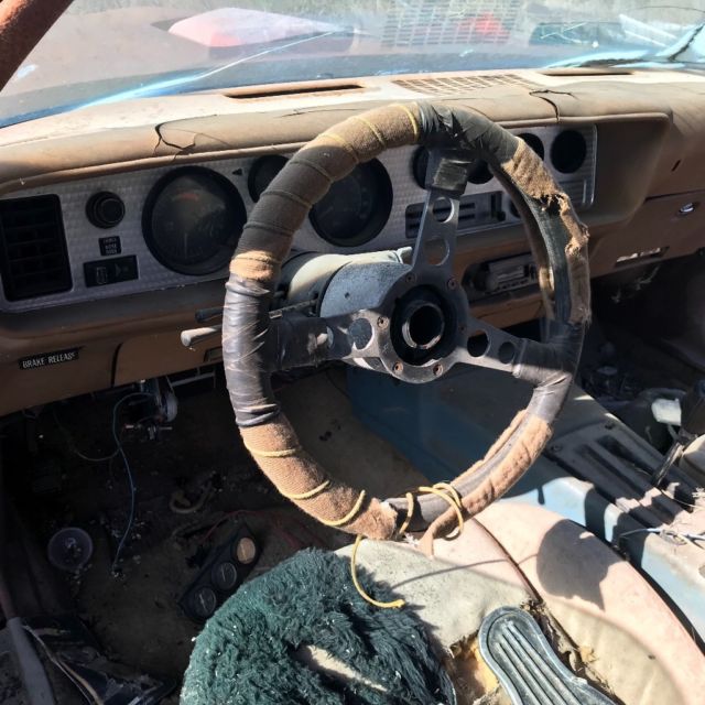 1978 Brown Pontiac Trans Am