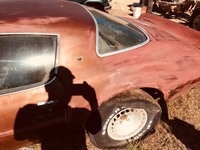1978 Brown Pontiac Trans Am