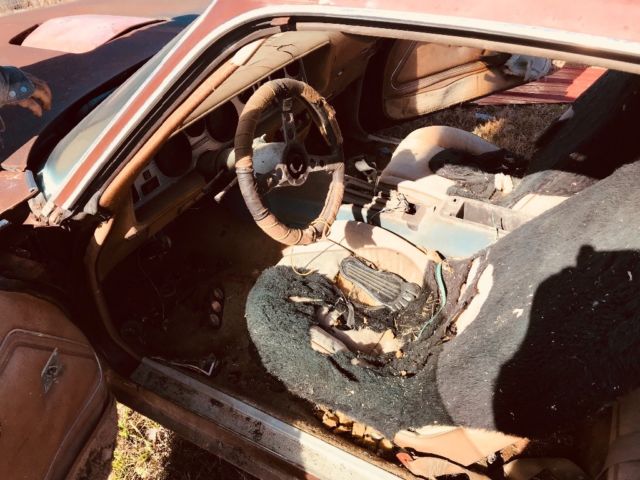 1978 Brown Pontiac Trans Am
