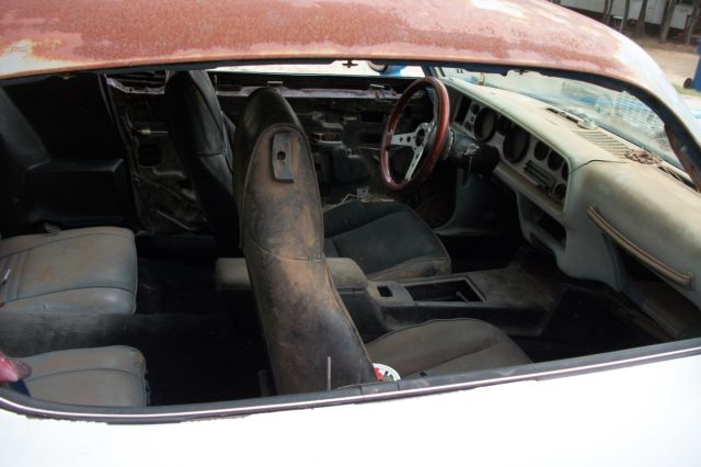 1978 martinique blue Pontiac Trans Am Coupe