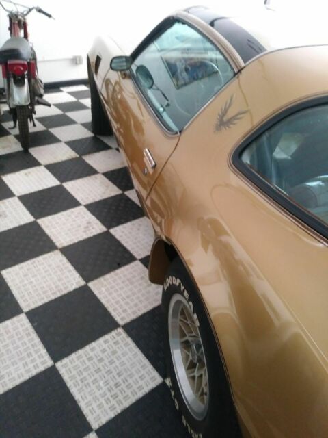 1978 Gold Pontiac Trans Am Fastback