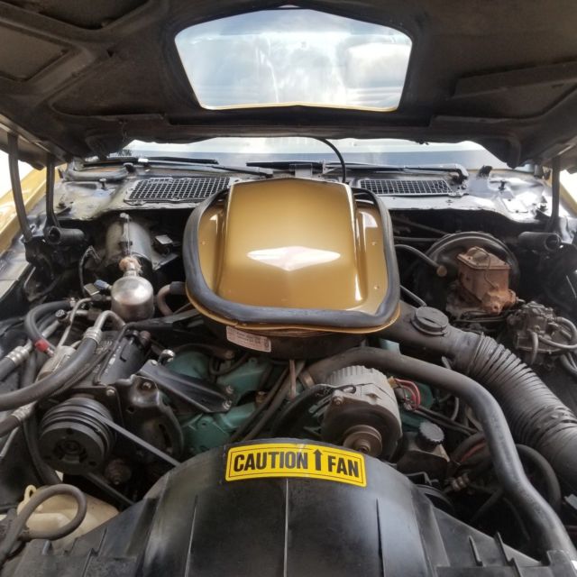 1978 Solar Gold Pontiac Trans Am Coupe