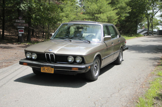 1979 BMW 528i (e12) for sale in Glenford, New York, United ...