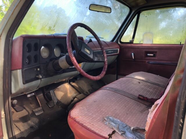 1979 Gray Chevrolet C-10 Standard Cab Pickup