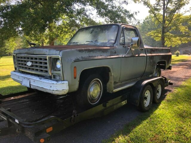 1979 Gray Chevrolet C-10 Standard Cab Pickup