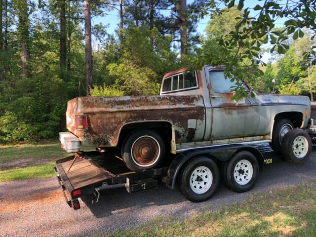 1979 Gray Chevrolet C-10 Standard Cab Pickup