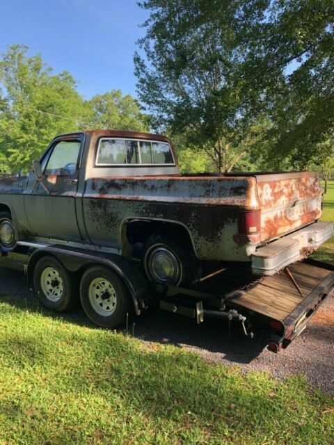 1979 Gray Chevrolet C-10 Standard Cab Pickup