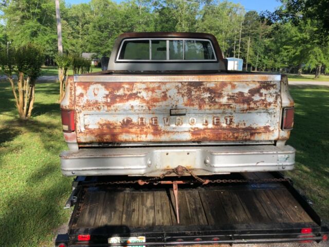 1979 Gray Chevrolet C-10 Standard Cab Pickup