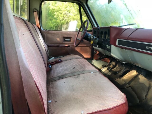 1979 Gray Chevrolet C-10 Standard Cab Pickup