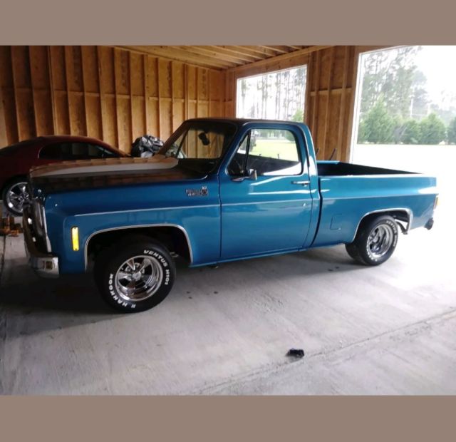 1979 Blue Chevrolet C-10 Standard Cab Pickup