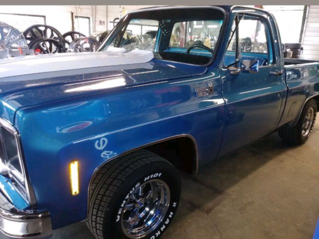 1979 Blue Chevrolet C-10 Standard Cab Pickup