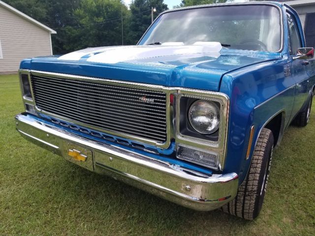 1979 Blue Chevrolet C-10 Standard Cab Pickup