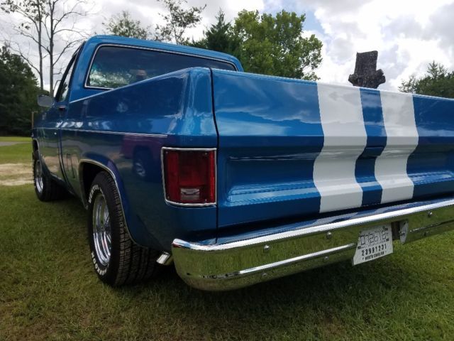 1979 Blue Chevrolet C-10 Standard Cab Pickup