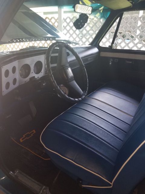 1979 Blue Chevrolet C-10 Standard Cab Pickup