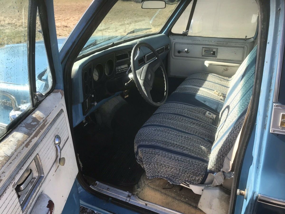 1979 Chevrolet C-10