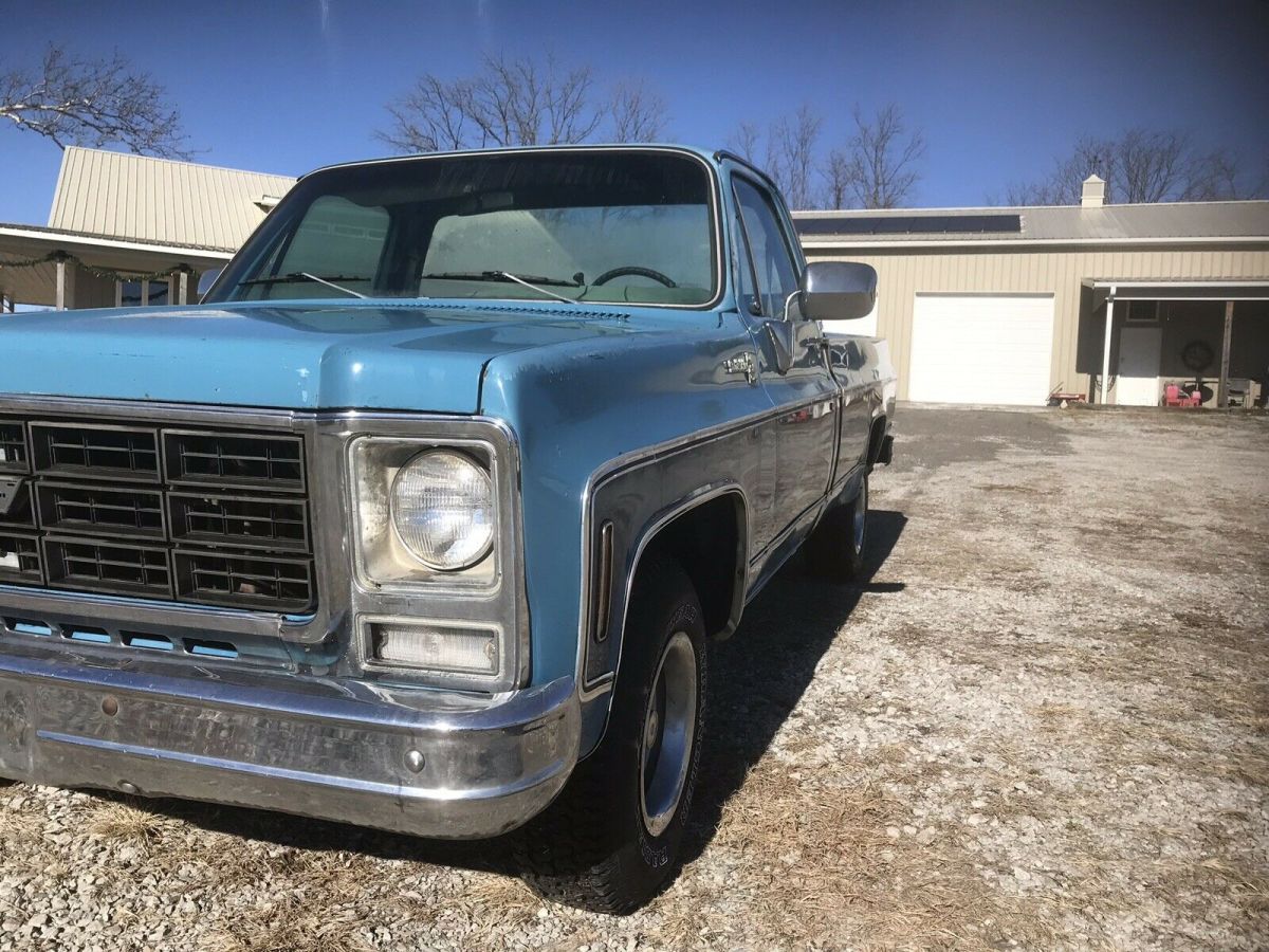 1979 Chevrolet C-10