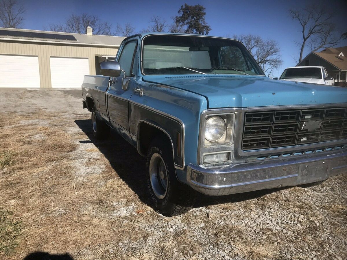 1979 Chevrolet C-10