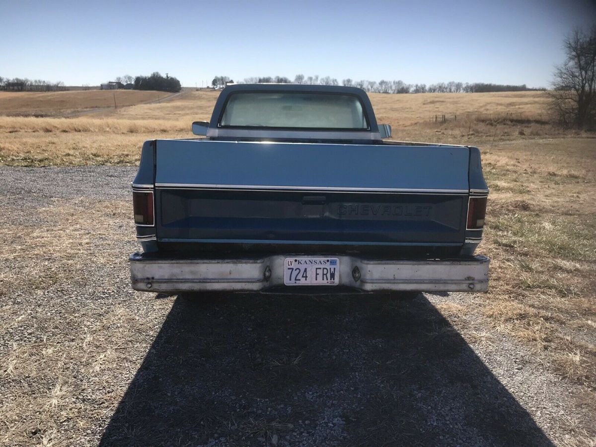 1979 Chevrolet C-10