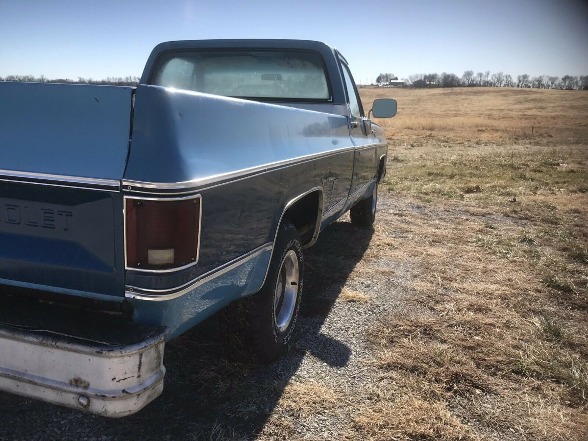 1979 Chevrolet C-10