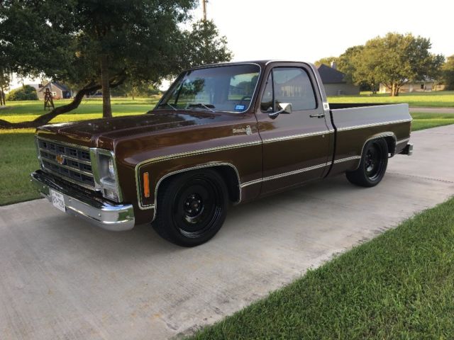 1979 Brown Chevrolet C-10 Standard Cab Pickup