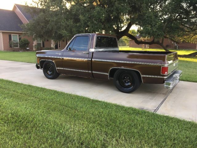 1979 Brown Chevrolet C-10 Standard Cab Pickup