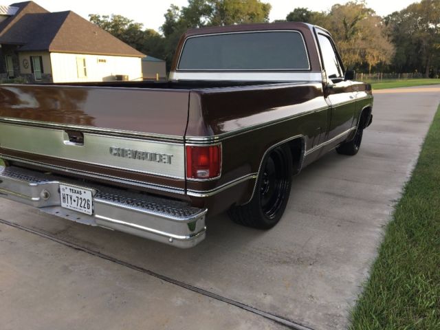 1979 Brown Chevrolet C-10 Standard Cab Pickup