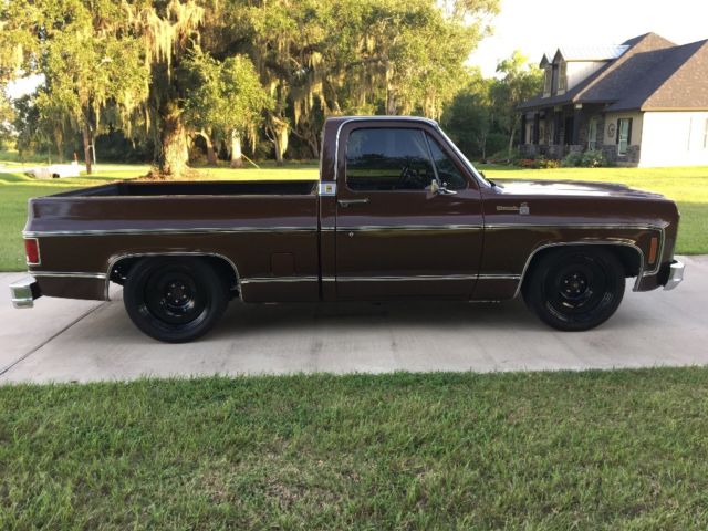 1979 Brown Chevrolet C-10 Standard Cab Pickup
