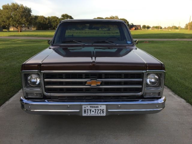 1979 Brown Chevrolet C-10 Standard Cab Pickup