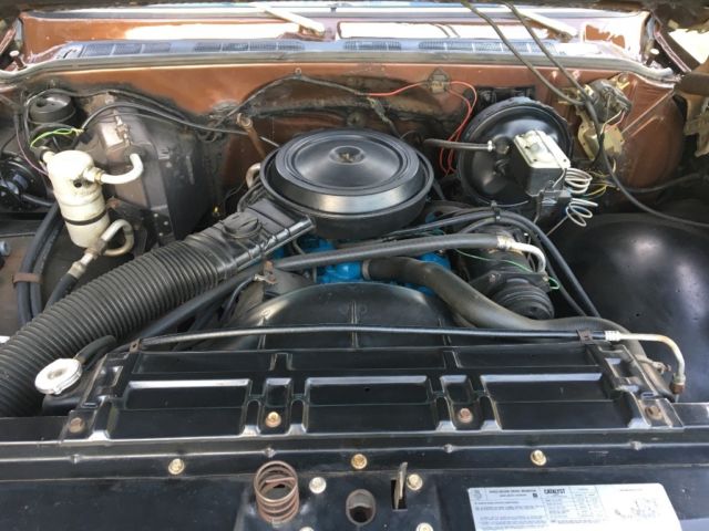 1979 Brown Chevrolet C-10 Standard Cab Pickup