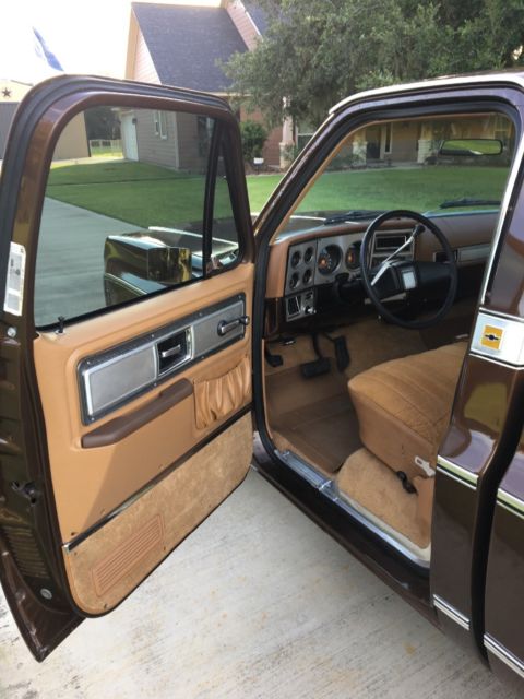 1979 Brown Chevrolet C-10 Standard Cab Pickup