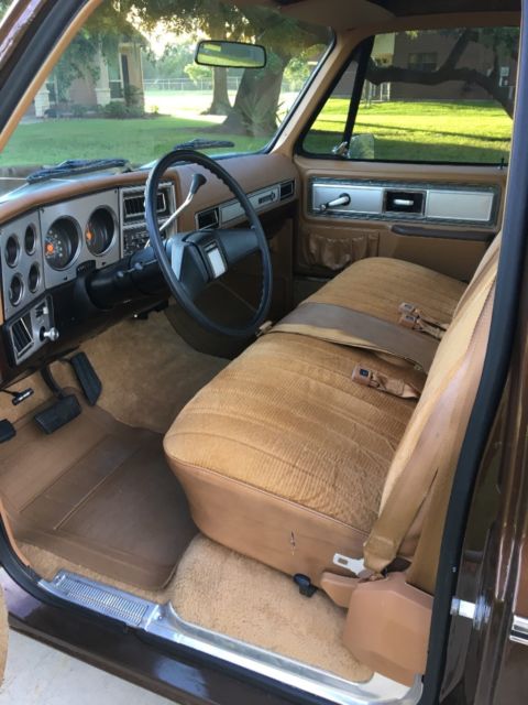 1979 Brown Chevrolet C-10 Standard Cab Pickup