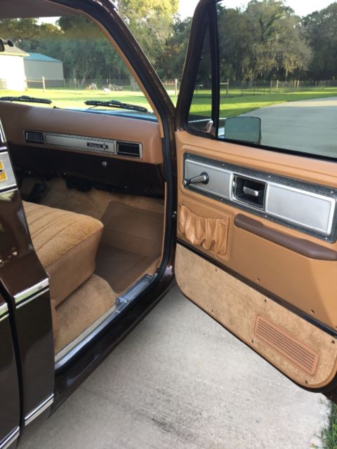 1979 Brown Chevrolet C-10 Standard Cab Pickup